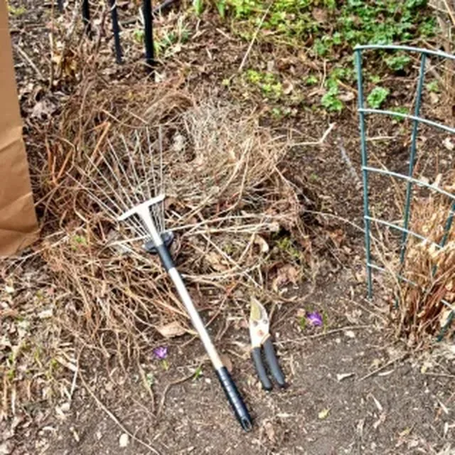 Garden bed prep with rake and yard tools