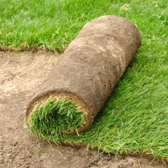 Rolled sod ready for installation